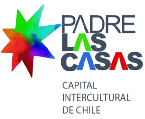 Logo Municipalidad